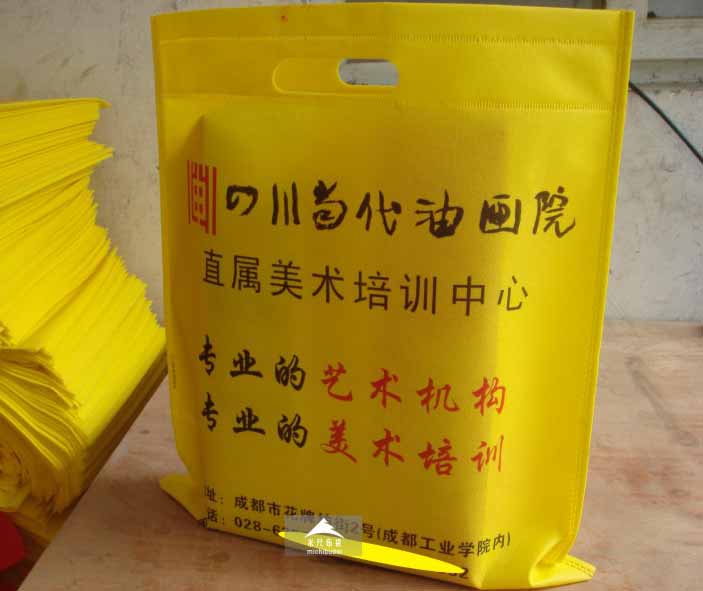 四川當(dāng)代油畫院定制無紡布袋